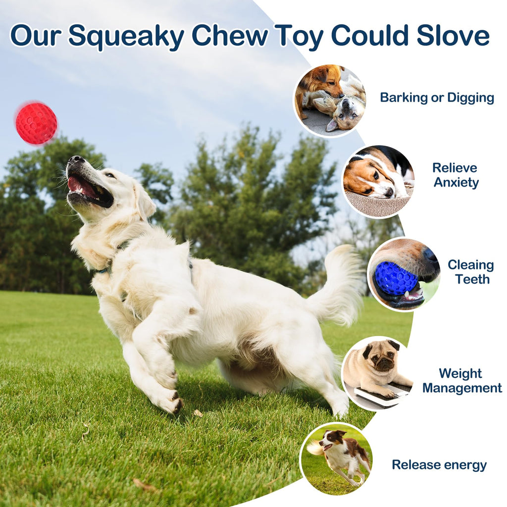 2 Pack Rubber Dog Chew Balls W194924