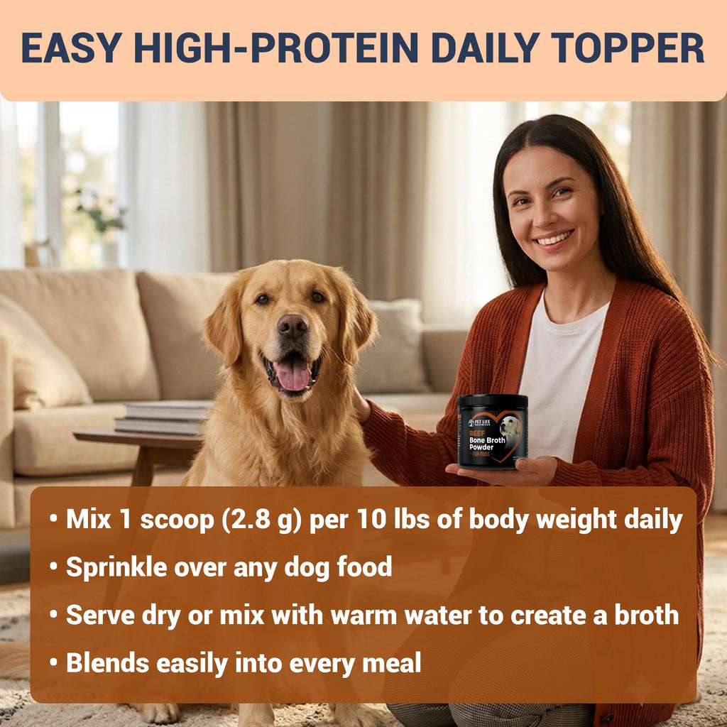 Beef Bone Broth for Dogs H462