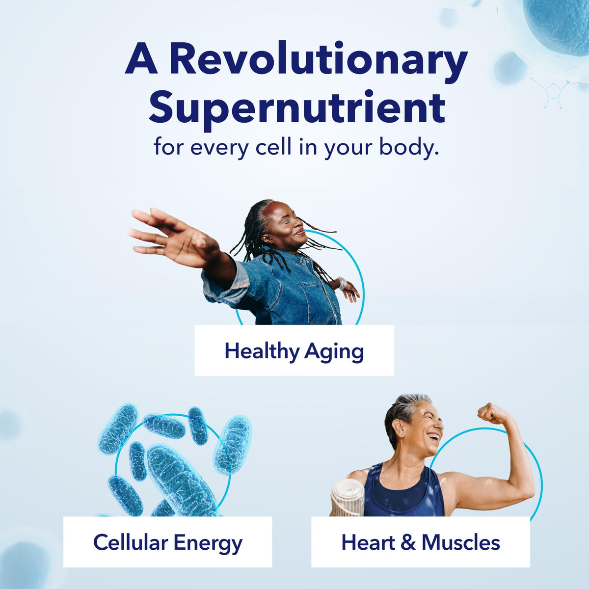 NAD+ Supplement Nicotinamide Riboside 300mg V67630