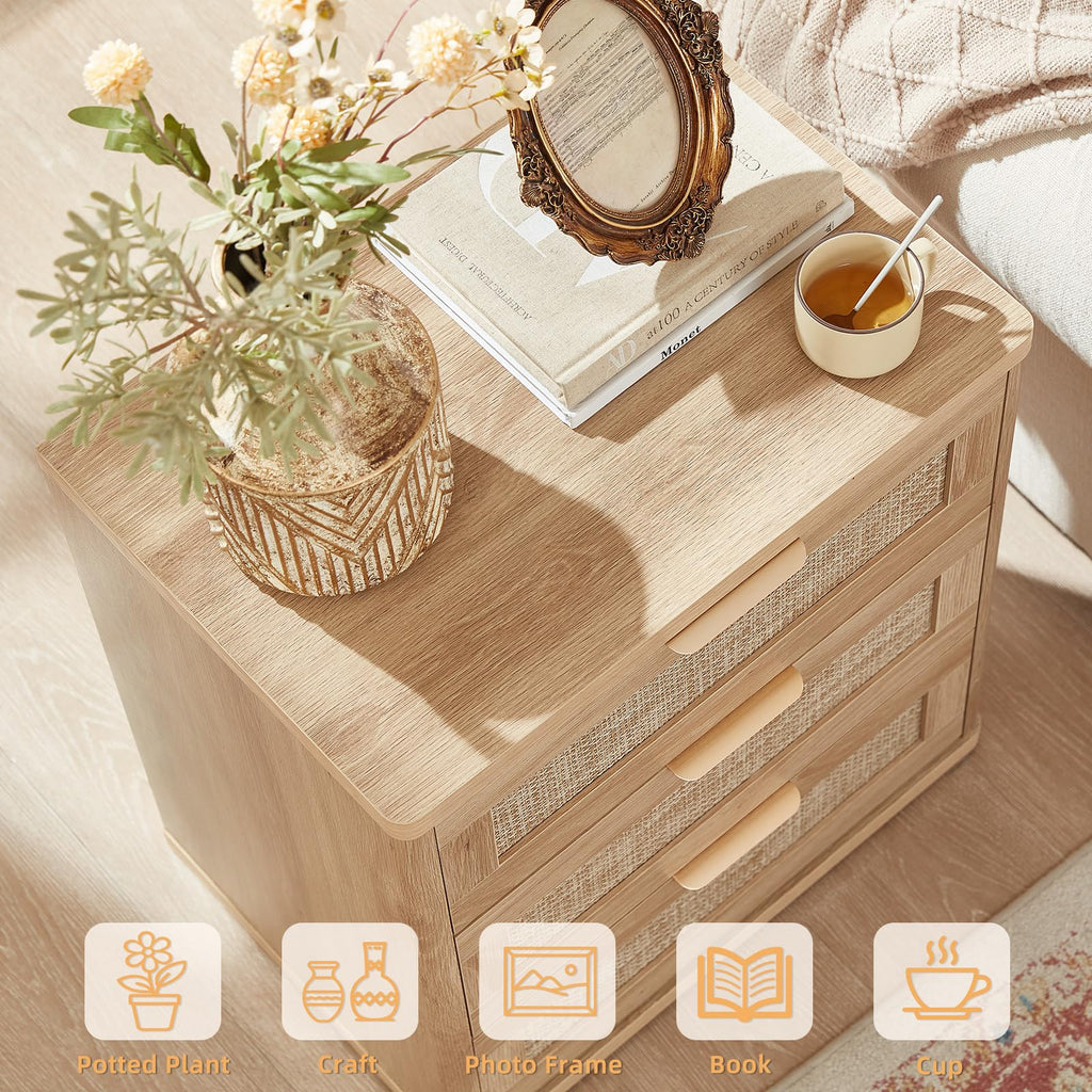 Rattan 23" Nightstands Set of 2 with Drawers O118679