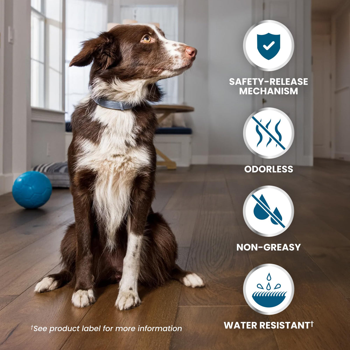8-Month Flea & Tick Collar for Large Dogs Over 18 lbs H9898