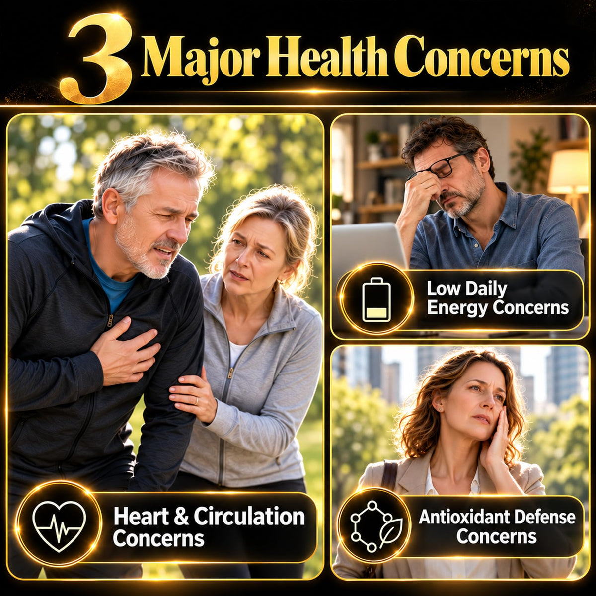 Black Garlic Extract Softgels 300 Count O653880