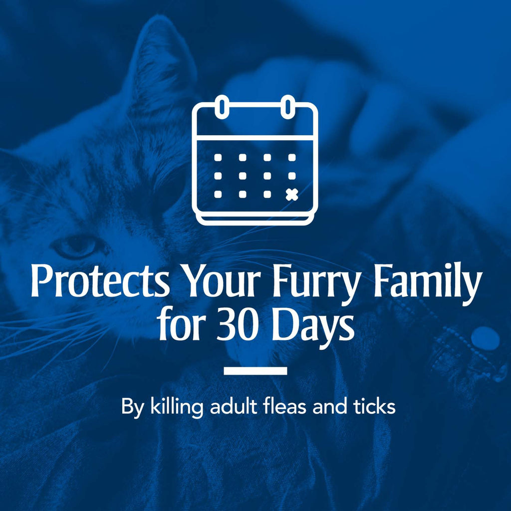 Flea & Tick Treatment for Cats C542458