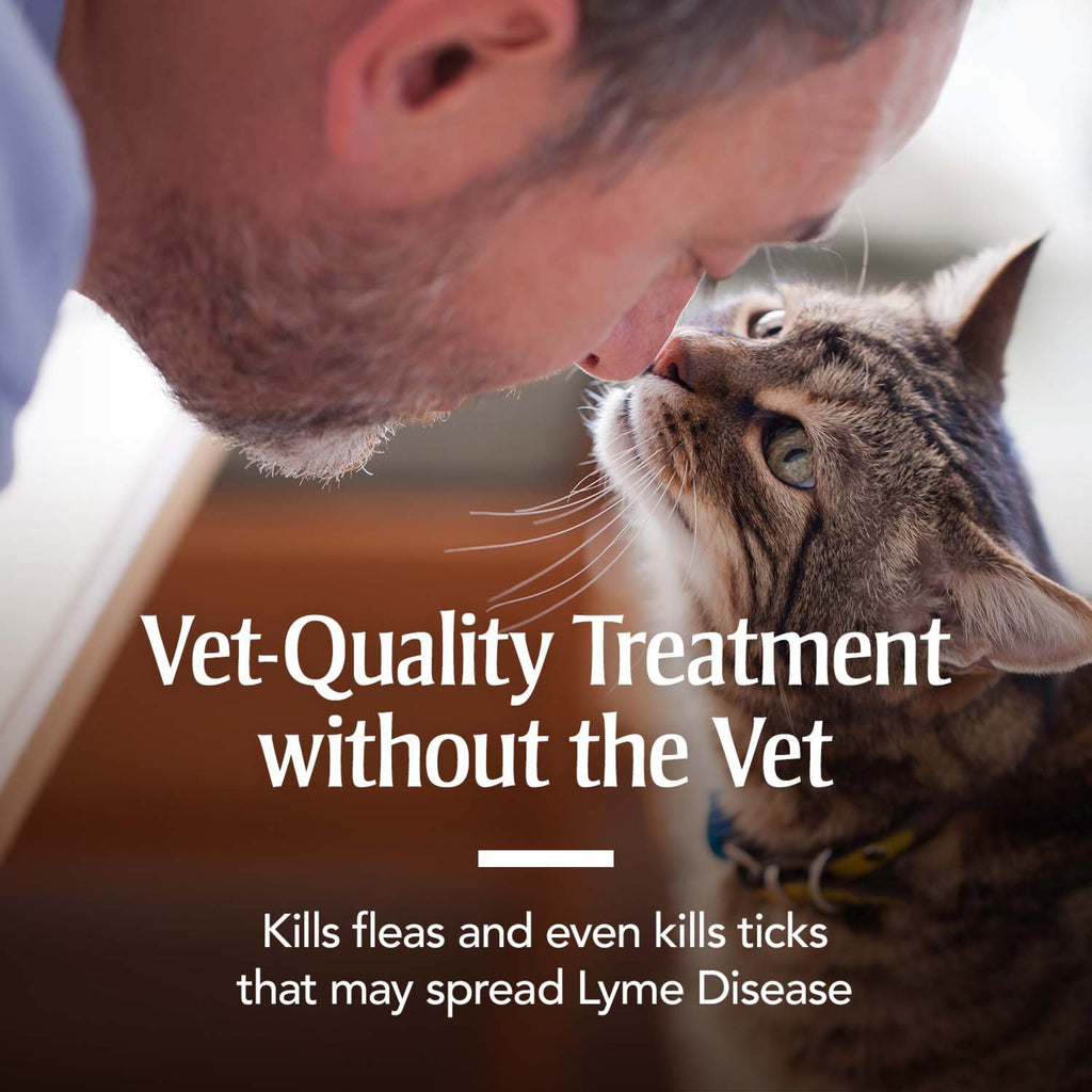 Flea & Tick Treatment for Cats C542458