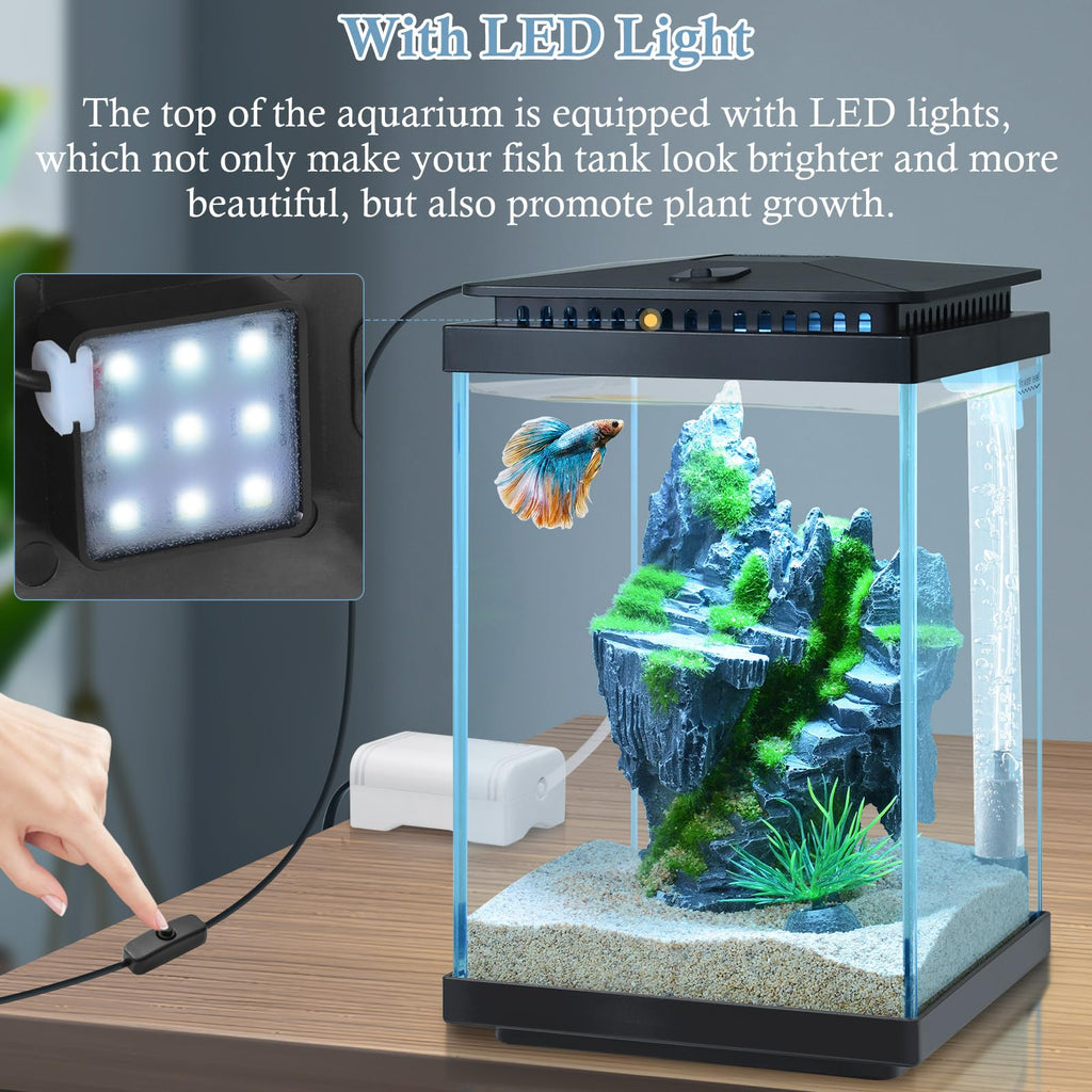 1 Gallon Small Glass Aquarium with Air Pump LED Light E376324