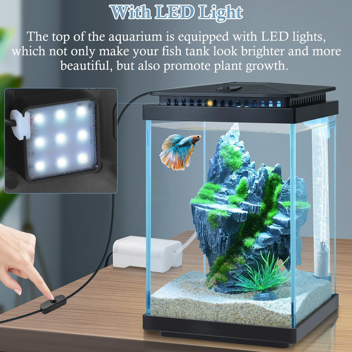 1 Gallon Small Glass Aquarium with Air Pump LED Light E376324