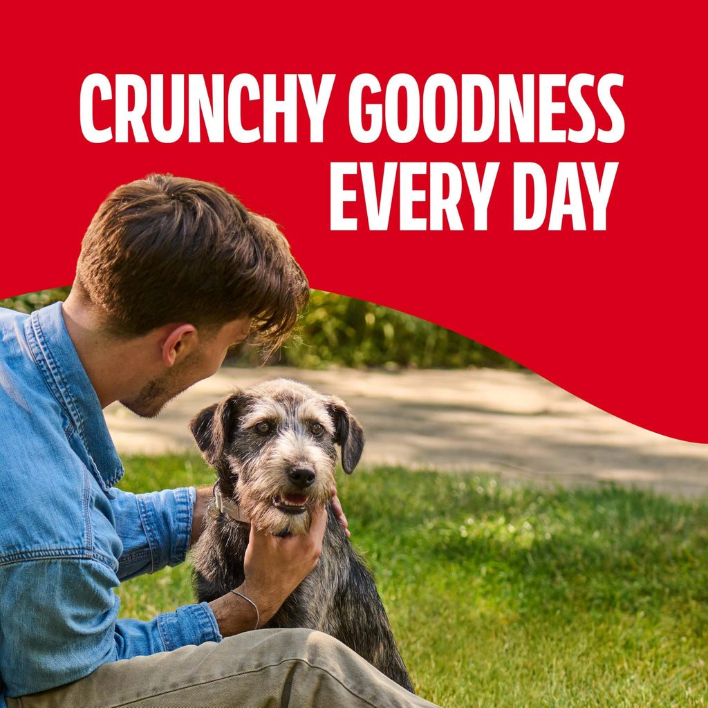Gravy Coated Small Dog Biscuits T313100