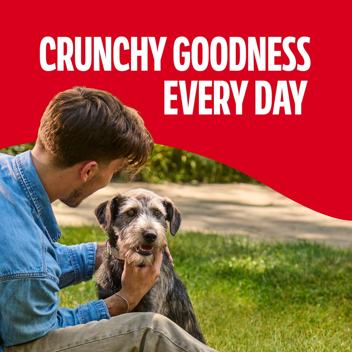 Gravy Coated Small Dog Biscuits T313100