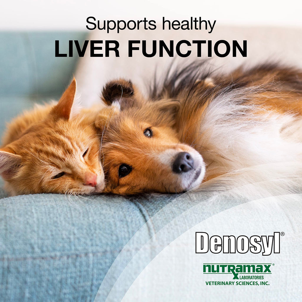 30ct Liver & Brain Support Tablets for Cats & Small Dogs N9723