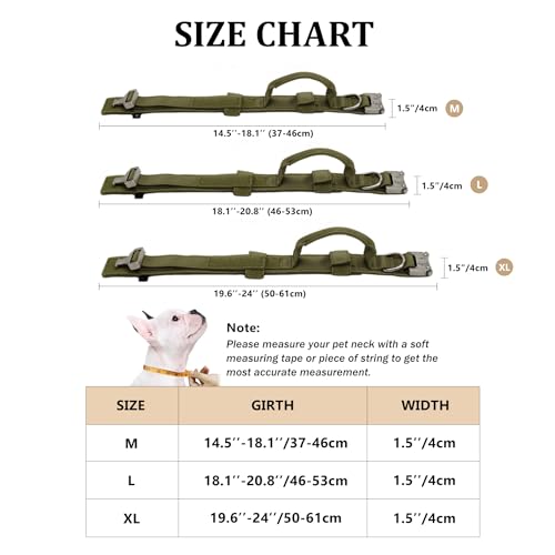 Nylon Adjustable Reflective Dog Collar with Handle and Heavy Duty Metal Buckle Y620