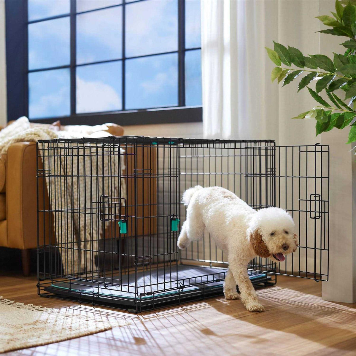 Double Door Wire Dog Crate J4300