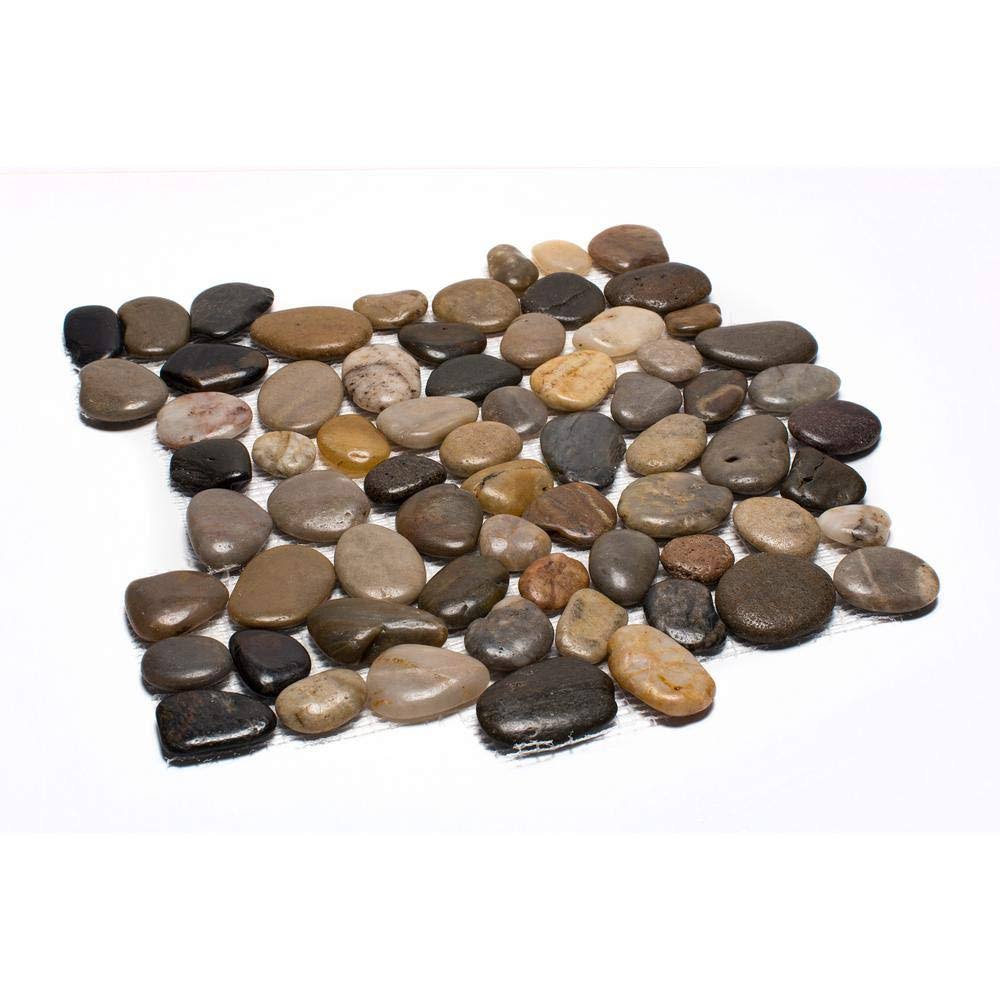 12 in. x 12 in. Mixed Mid-Polish Pebble Stone Tile R715