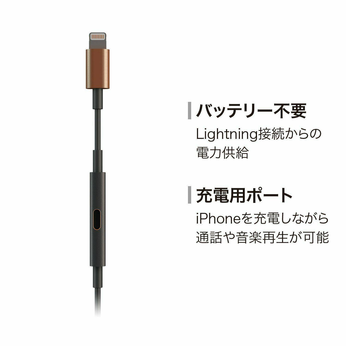 Lightning-Powered Noise-Canceling Earphones C36055