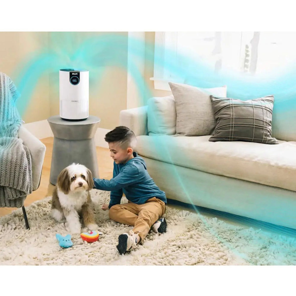 Air Purifier With True HEPA D9135