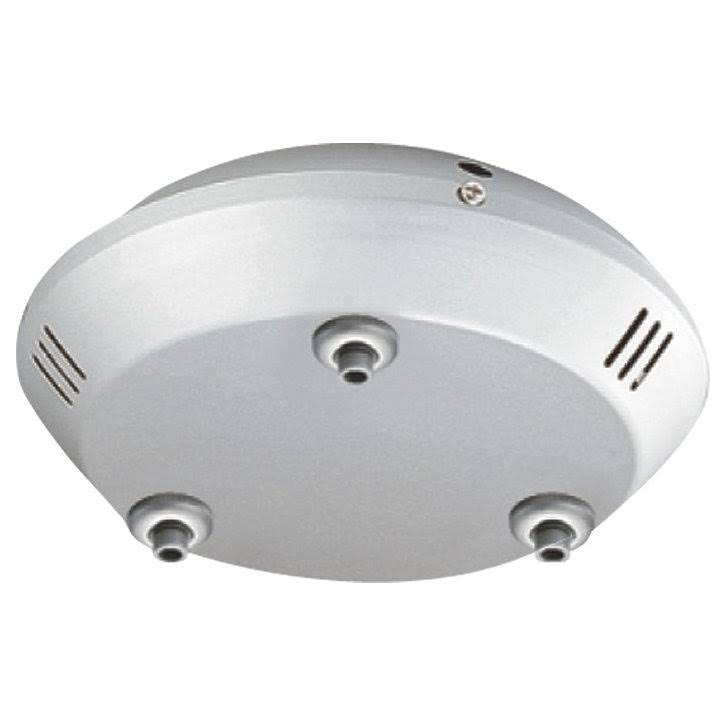 Ceiling Mono & Multipoints M43963