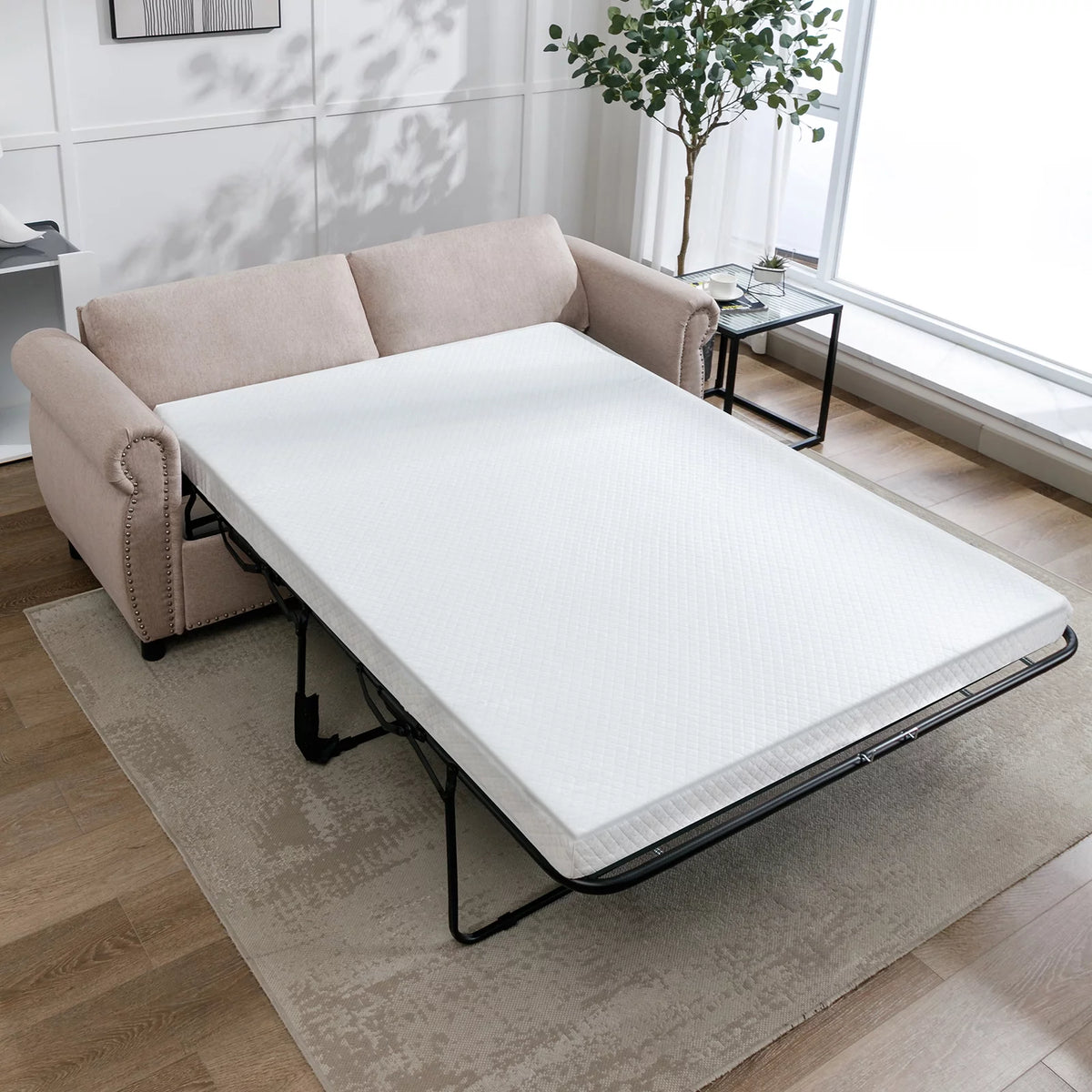 Queen Size Pull Out Sofa Bed T79913