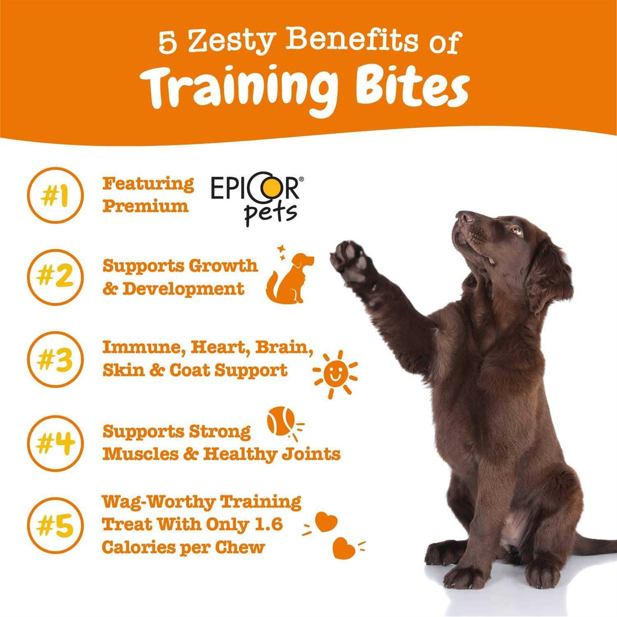 Training Treats for Dogs X878126
