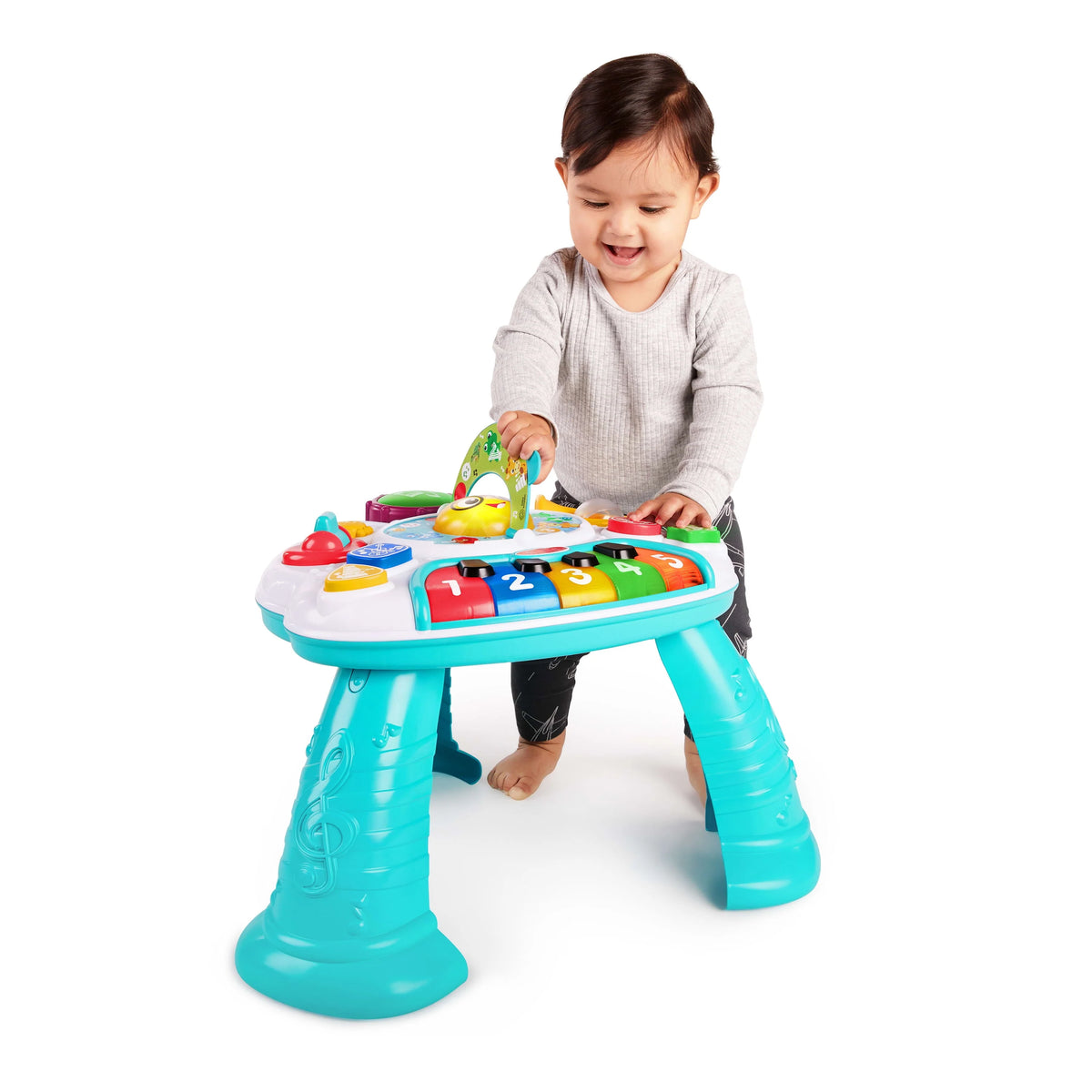 Activity Table C1386